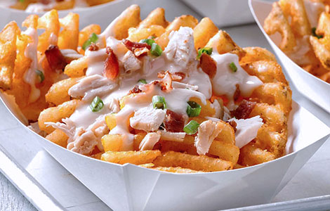 Loaded Fries